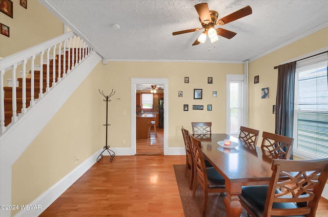 dining area featuring a textured ceiling, ceiling fan, light hardwood / wood-style floors, and crown molding