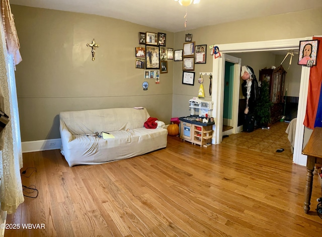 living room featuring wood-type flooring