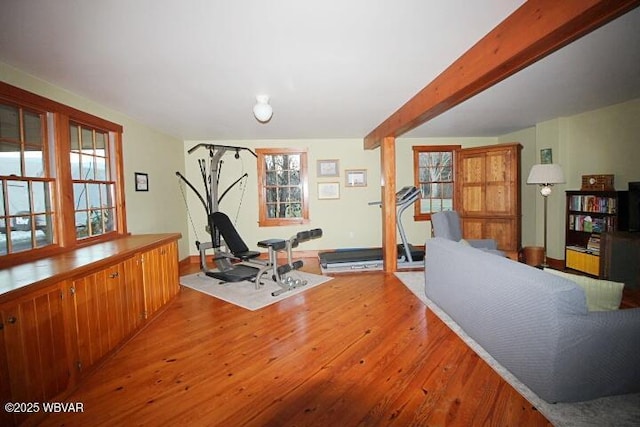 exercise room featuring hardwood / wood-style flooring