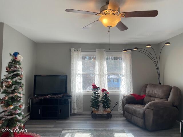 living room featuring ceiling fan and wood-type flooring