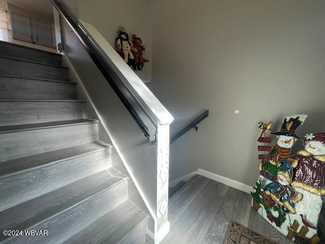 stairway featuring wood-type flooring