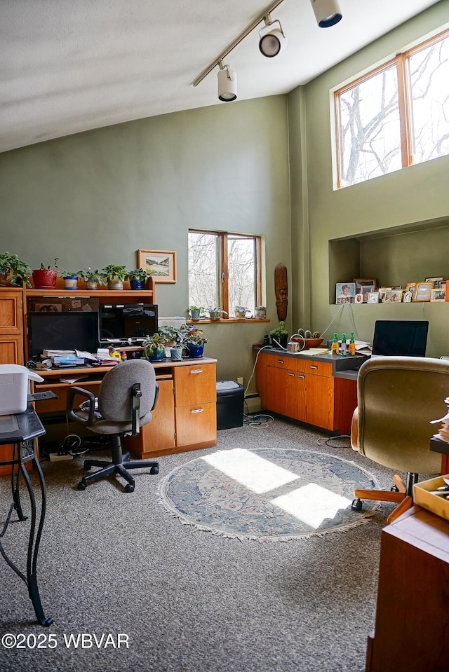 carpeted office space featuring rail lighting