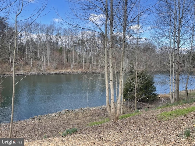 view of water feature