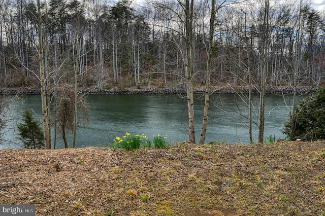 view of water feature