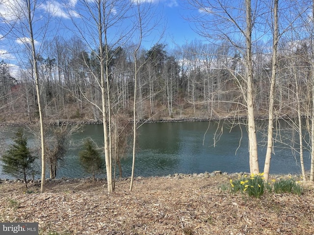 view of property view of water