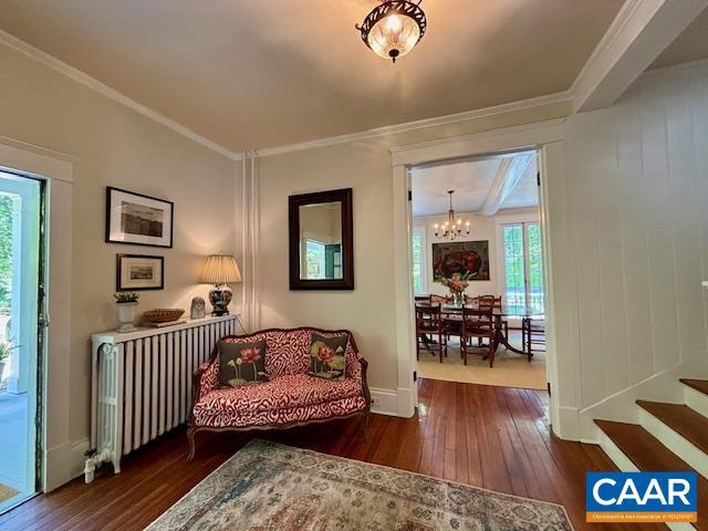 living area featuring an inviting chandelier, plenty of natural light, radiator, and hardwood / wood-style floors