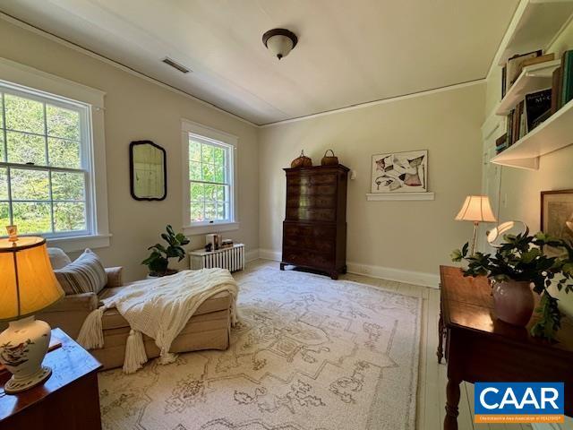 sitting room featuring baseboards, visible vents, and a wealth of natural light