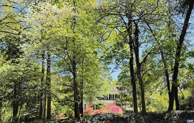 view of community