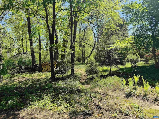 view of landscape