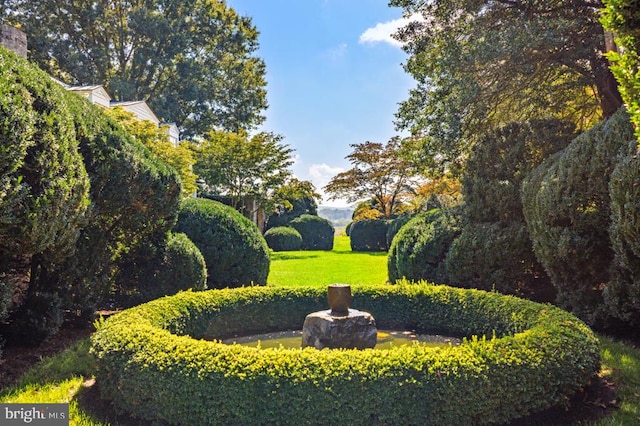 view of community with a yard