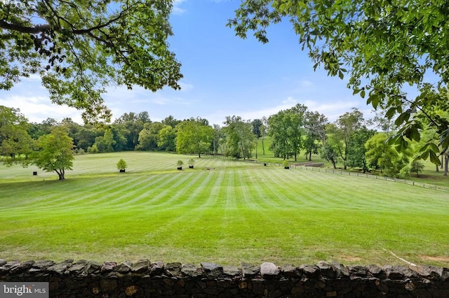 view of community featuring a yard