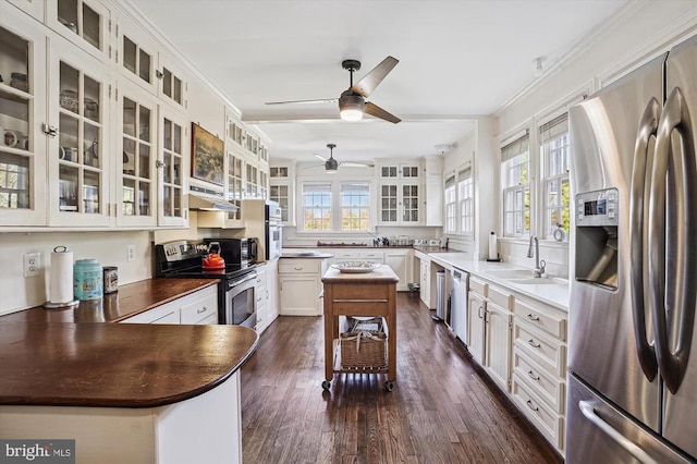 kitchen featuring ceiling fan, sink, dark hardwood / wood-style flooring, white cabinets, and appliances with stainless steel finishes