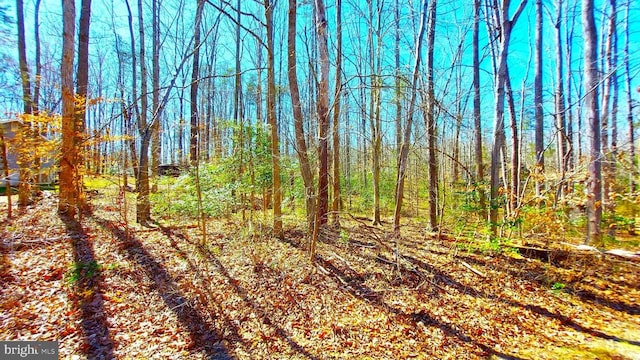 Poplar Dr, Louisa VA, 23093 land for sale