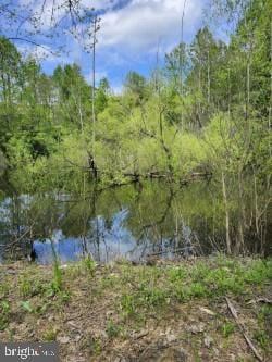 0 Jenkins Ln, Stanley VA, 22851 land for sale