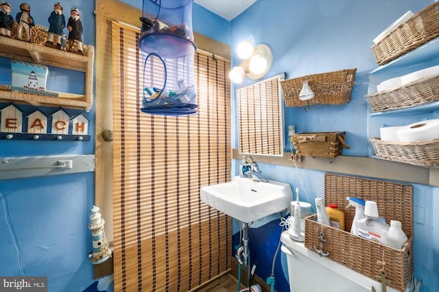 bathroom with sink and toilet