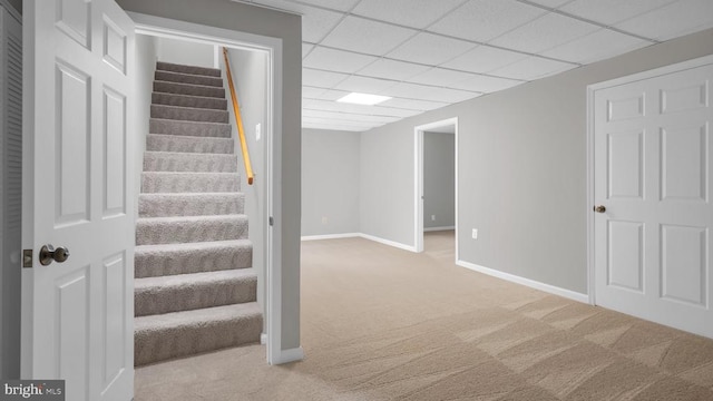 staircase with carpet and a drop ceiling