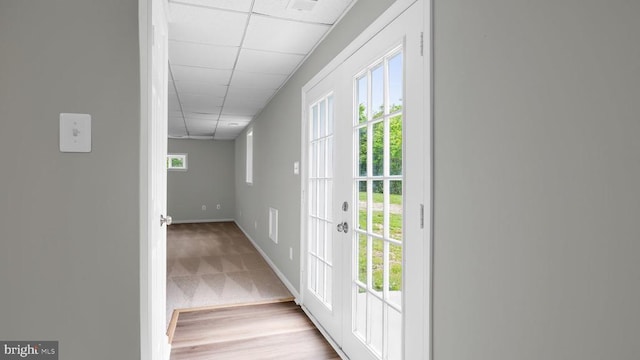 hall featuring light carpet, plenty of natural light, and a drop ceiling