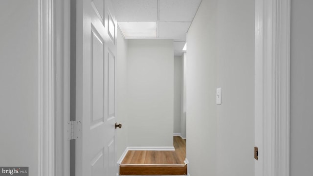 hallway with hardwood / wood-style floors and a paneled ceiling