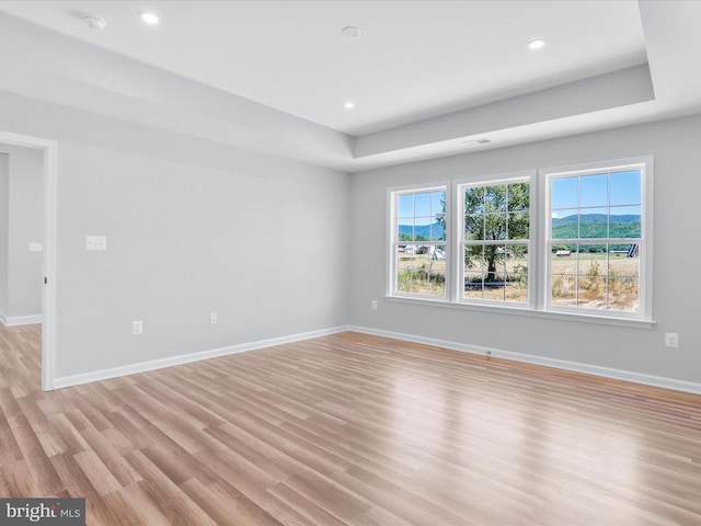 unfurnished room featuring light wood-type flooring and a tray ceiling