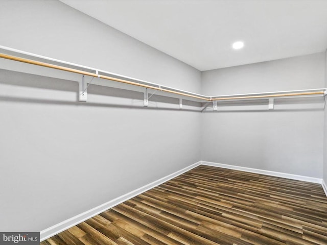 walk in closet with dark hardwood / wood-style flooring