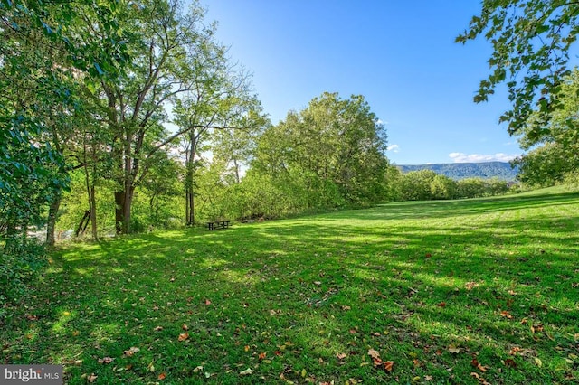 view of yard