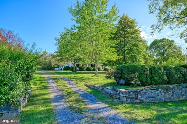 view of property's community featuring a yard