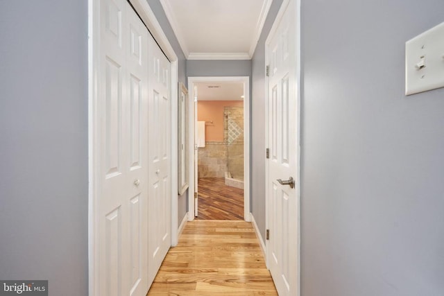 hallway featuring light wood-type flooring and crown molding