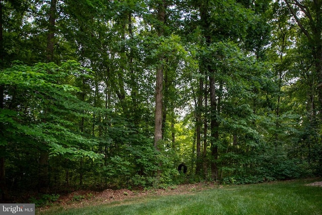 view of local wilderness