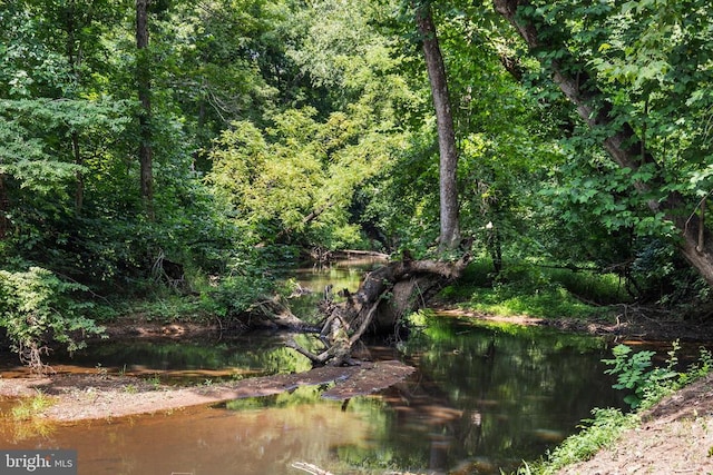 view of landscape featuring a water view