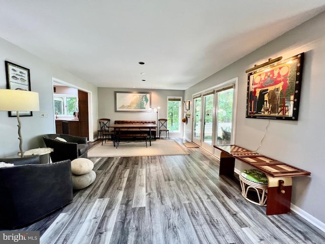 living room featuring hardwood / wood-style flooring