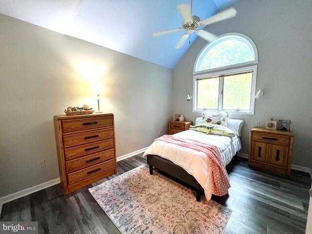 bedroom featuring multiple windows, dark hardwood / wood-style flooring, and lofted ceiling