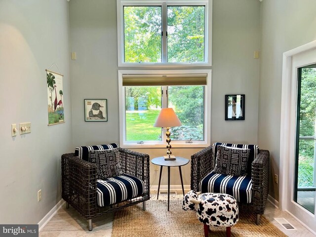 sitting room featuring a wealth of natural light