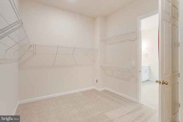 spacious closet featuring carpet floors