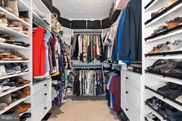 view of walk in closet