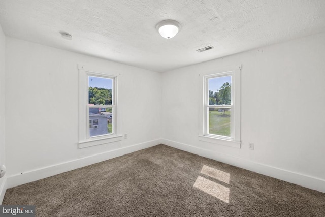 carpeted empty room with a textured ceiling and a healthy amount of sunlight