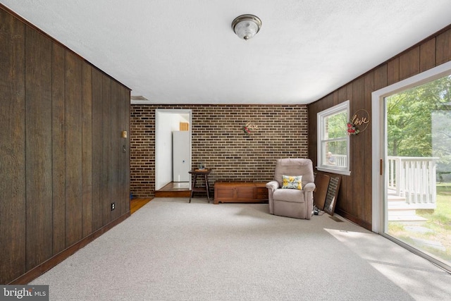 unfurnished room featuring wood walls, light carpet, and brick wall