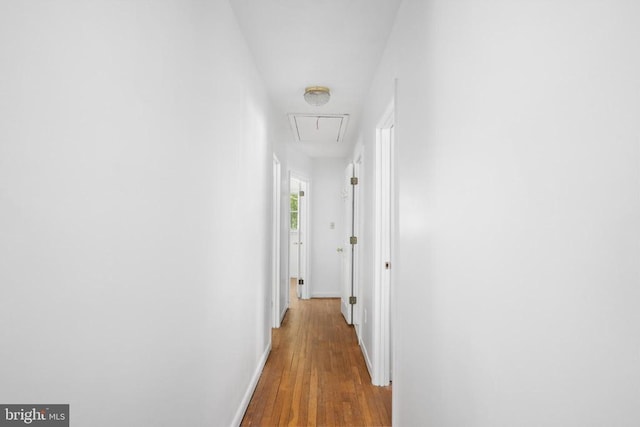 hallway featuring hardwood / wood-style flooring