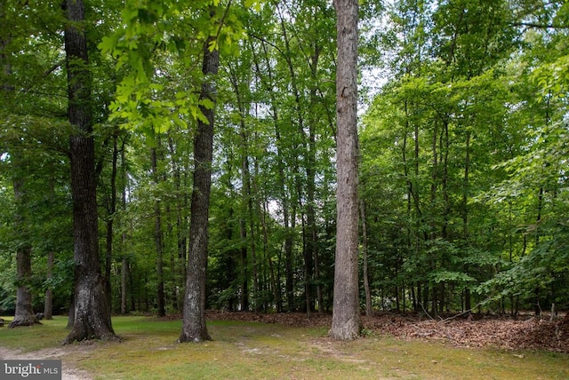 view of landscape