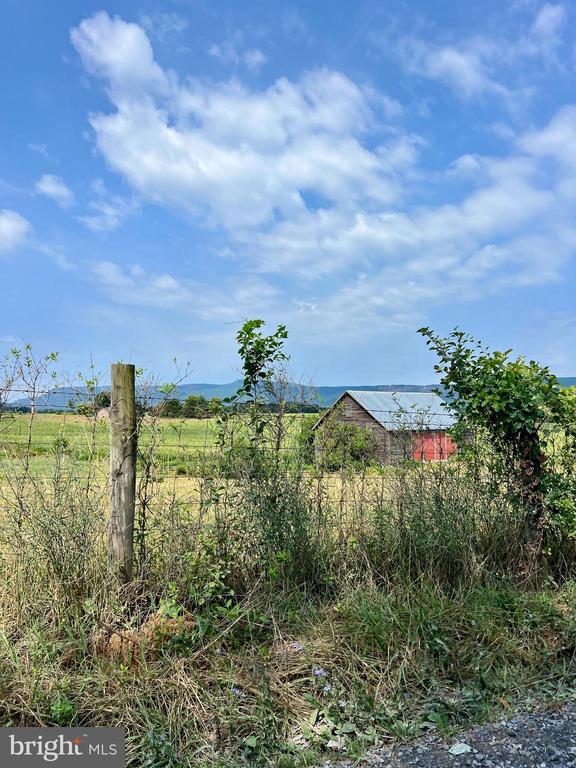 view of nature with a rural view