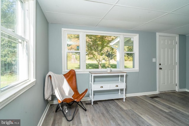 living area featuring a paneled ceiling, a wealth of natural light, and hardwood / wood-style flooring