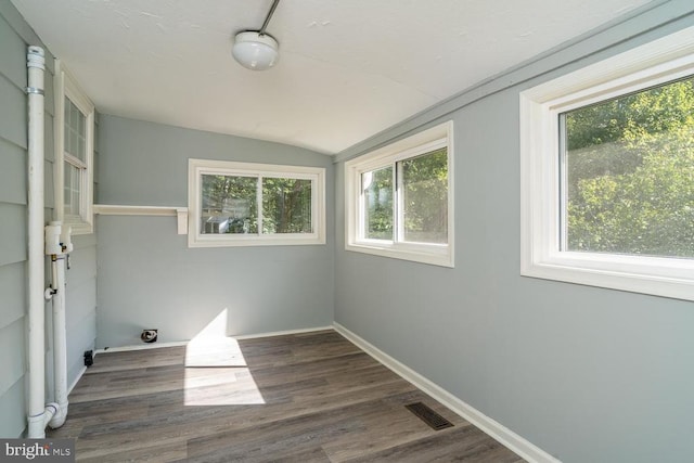 interior space featuring dark wood-type flooring and vaulted ceiling