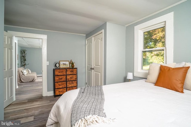 bedroom with wood-type flooring, crown molding, and a closet