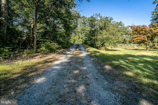 view of road