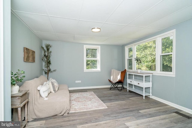 living area with wood-type flooring and a wealth of natural light