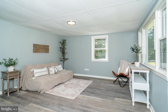 bedroom with hardwood / wood-style floors