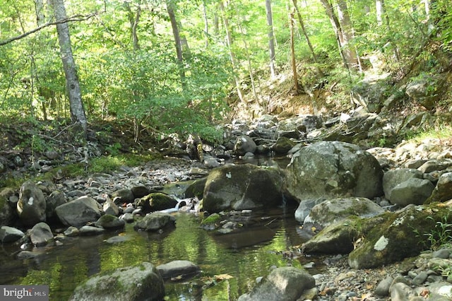 view of local wilderness with a water view