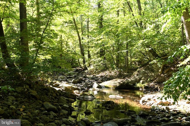 view of local wilderness