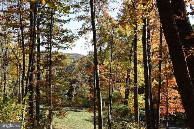 view of local wilderness