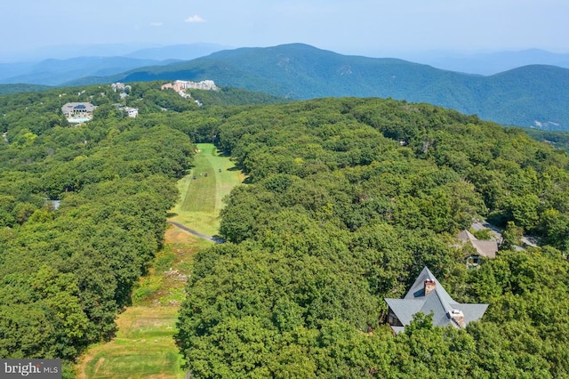 birds eye view of property featuring a mountain view