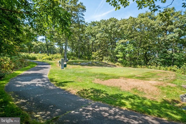 view of community with a yard